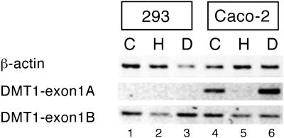 Fig 4.