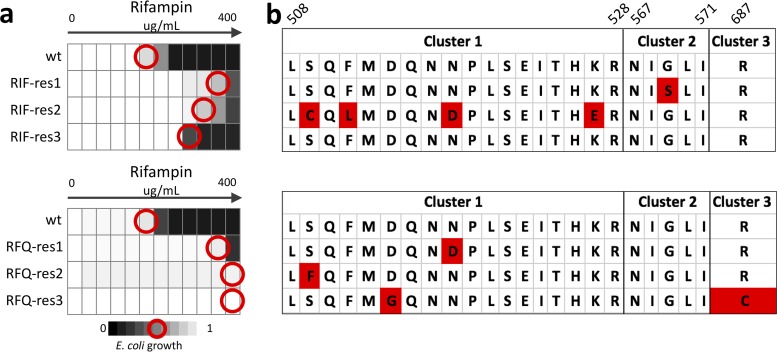 FIG 2