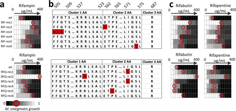 FIG 4