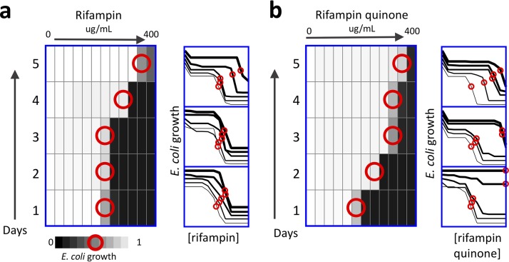 FIG 1