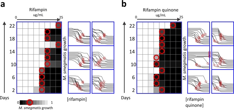 FIG 3