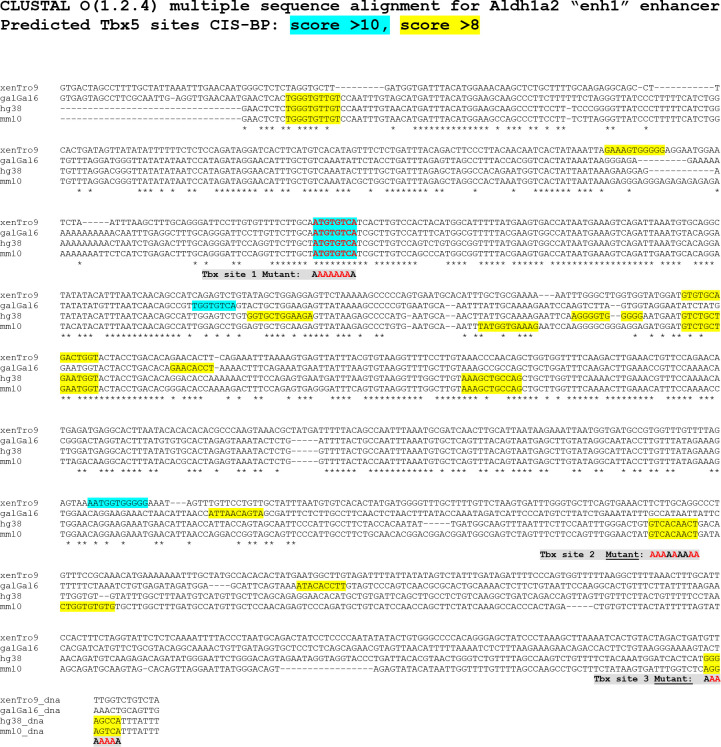 Figure 4—figure supplement 2.