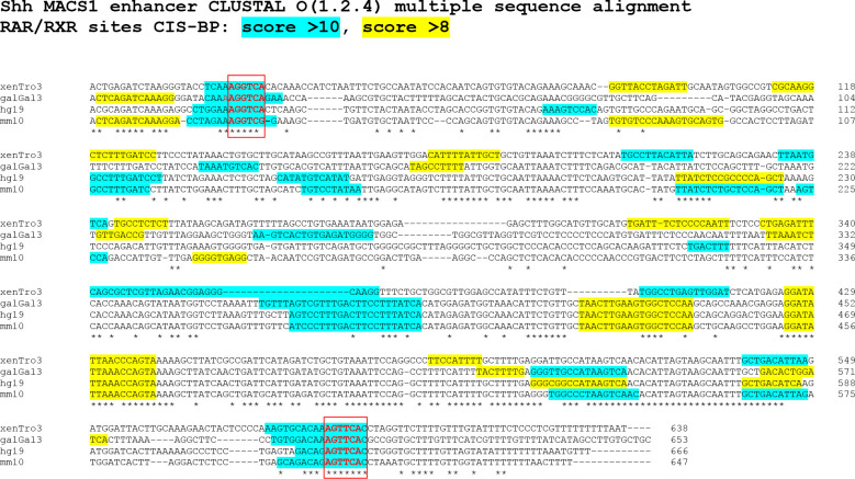 Figure 6—figure supplement 1.