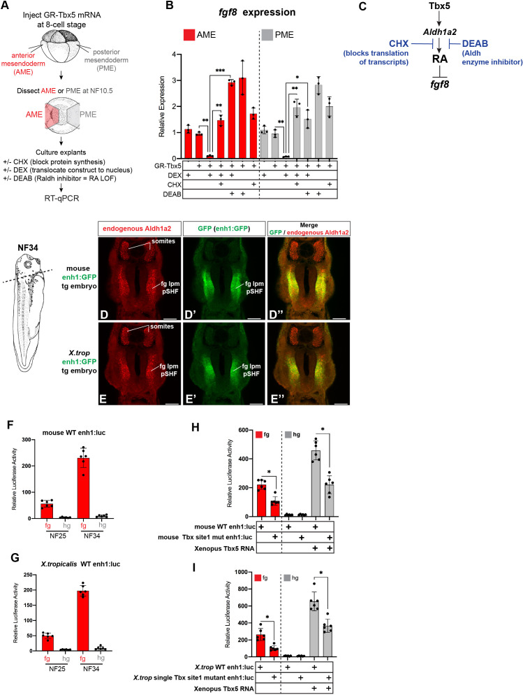 Figure 4—figure supplement 1.