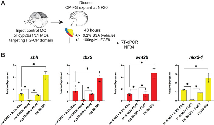 Figure 5—figure supplement 1.