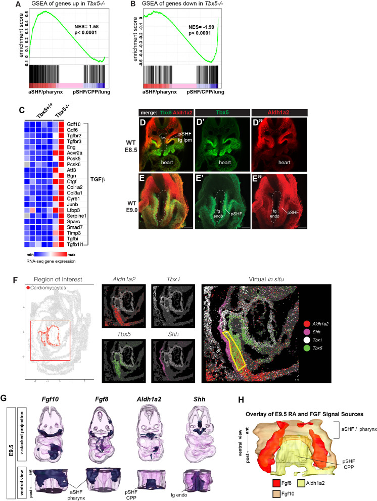 Figure 1—figure supplement 1.