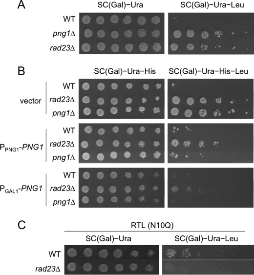 FIGURE 3.