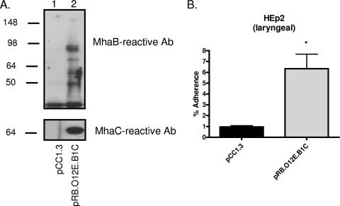 FIG. 7.