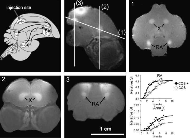 Fig. 3.