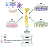 FIG. 2.