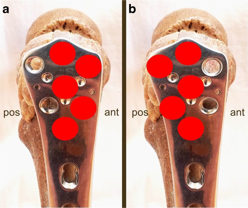 Fig. 5