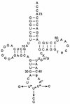 FIG. 1.