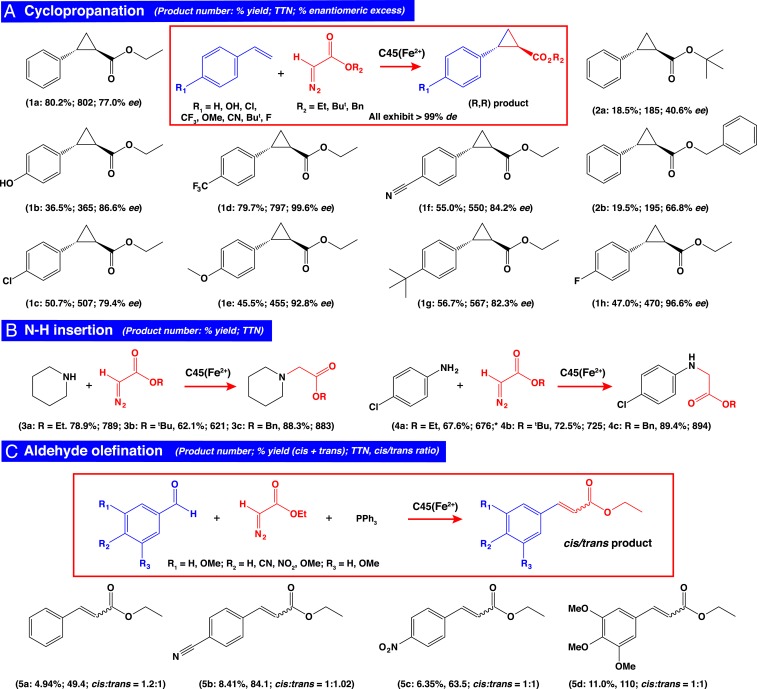 Fig. 4.