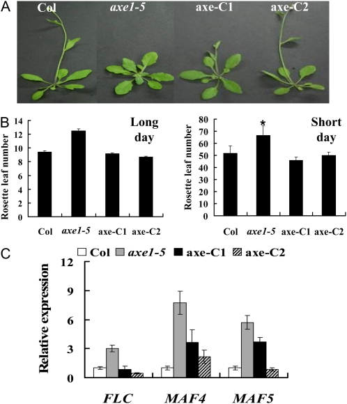 Figure 1.