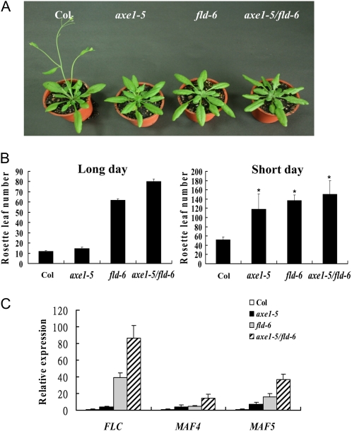 Figure 4.