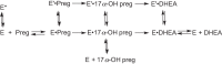 Figure 13.