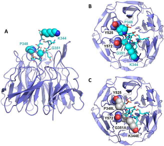 Fig. 3