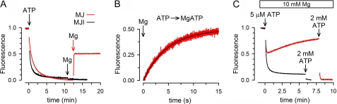 FIGURE 5.