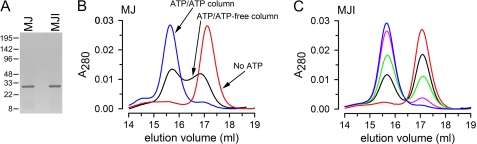 FIGURE 1.