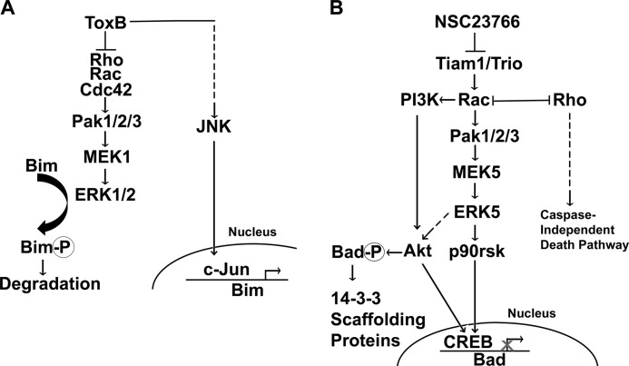 FIGURE 9.