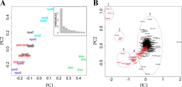 Fig. 4.