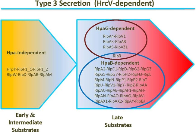 Fig. 10.