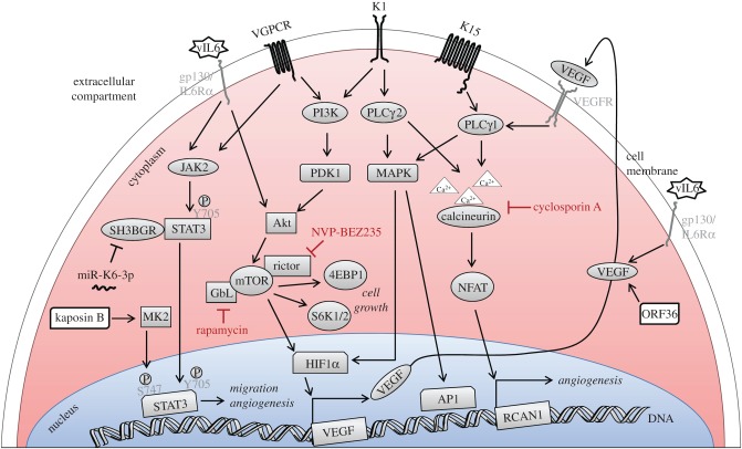 Figure 2.