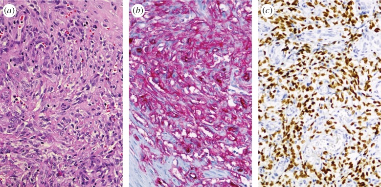 Figure 1.