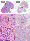 Fig 2.