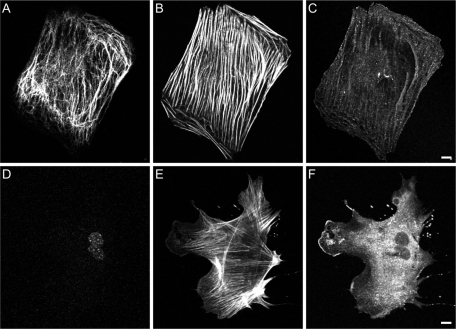 FIGURE 9: