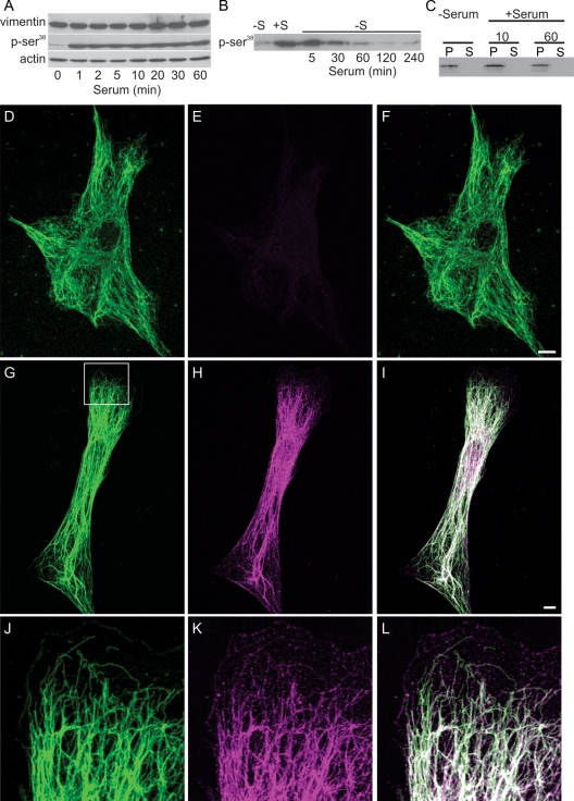 FIGURE 3: