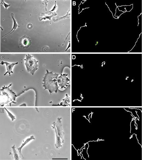 FIGURE 10: