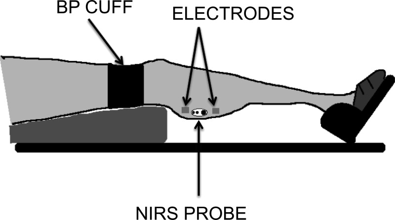 Fig. 1.