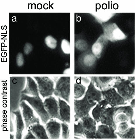 FIG. 7.