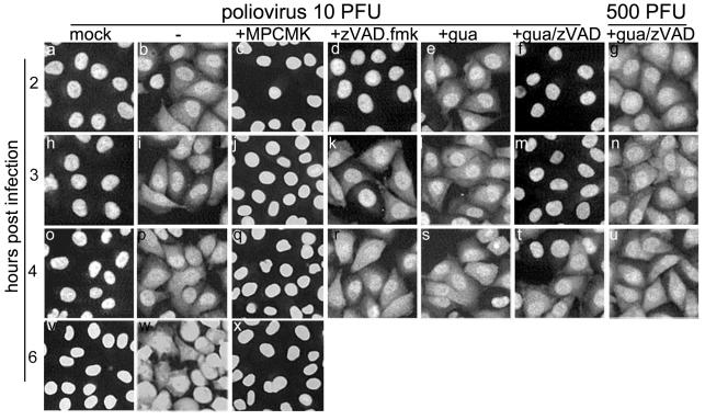 FIG. 6.