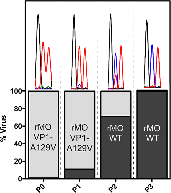 Figure 9.