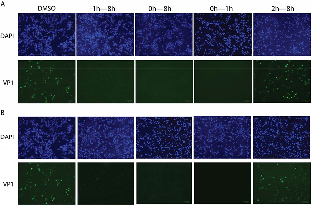 Figure 4: