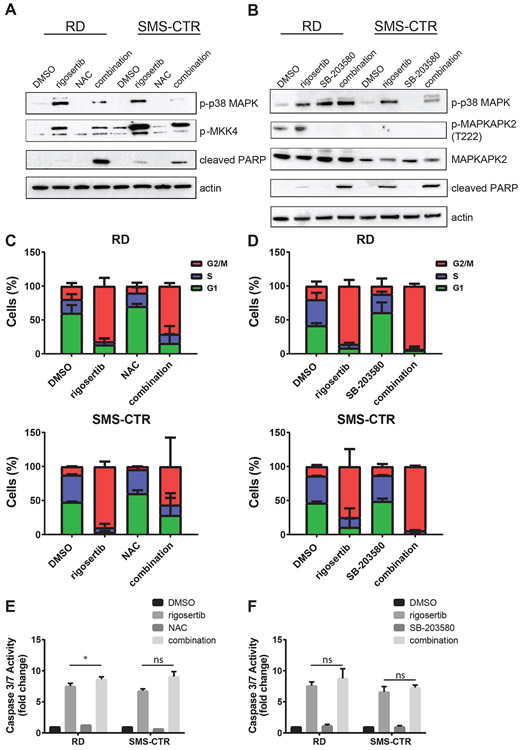 Figure 4: