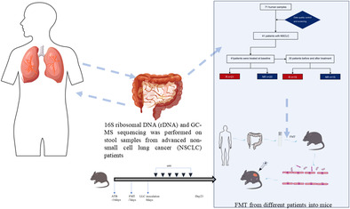 graphic file with name TCA-15-1149-g005.jpg