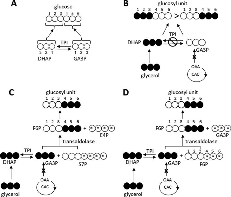 FIGURE 1.