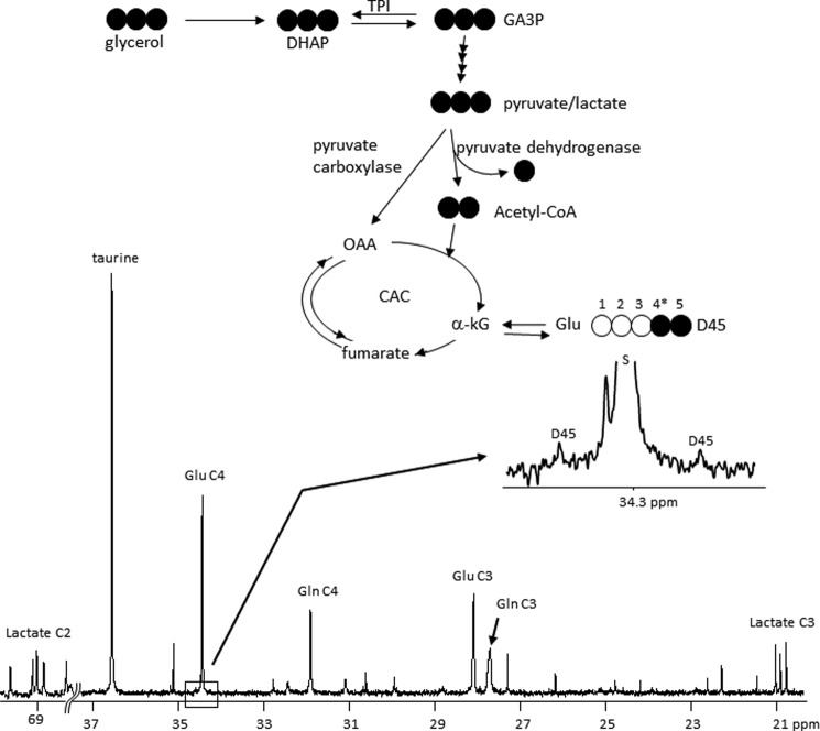 FIGURE 3.