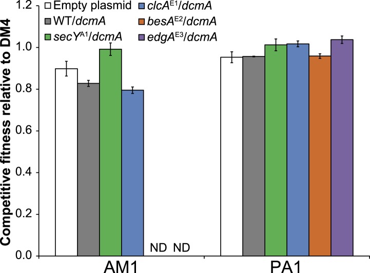 Figure 3—figure supplement 1.