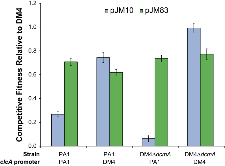 Figure 6—figure supplement 1.