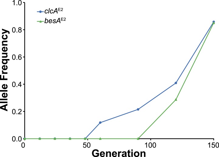 Figure 3—figure supplement 4.