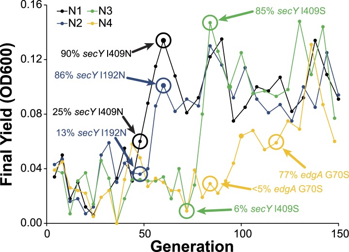 Figure 3—figure supplement 3.