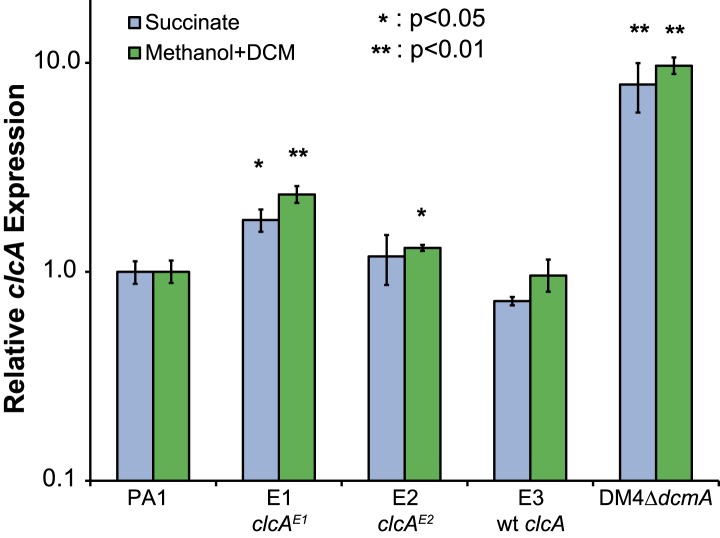 Figure 4—figure supplement 1.