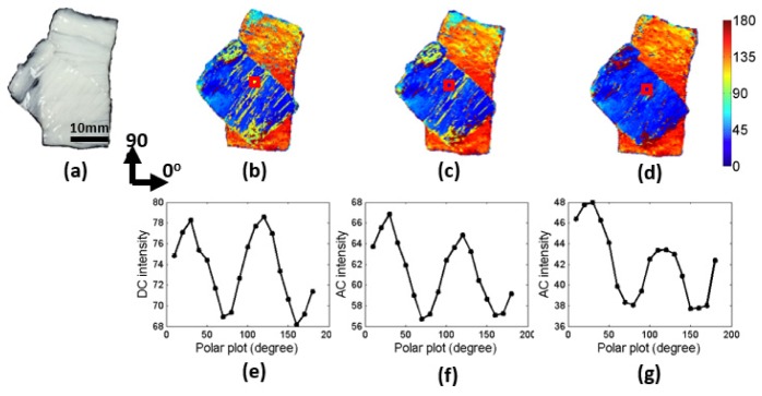 Fig. 7