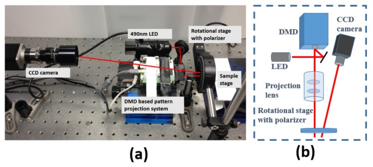 Fig. 2