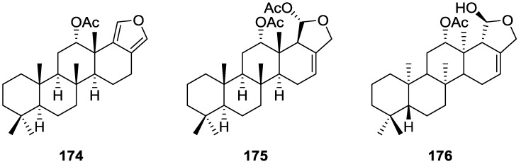 Figure 51