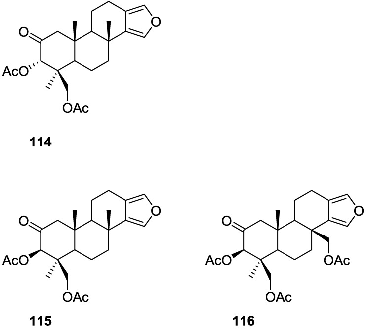 Figure 29